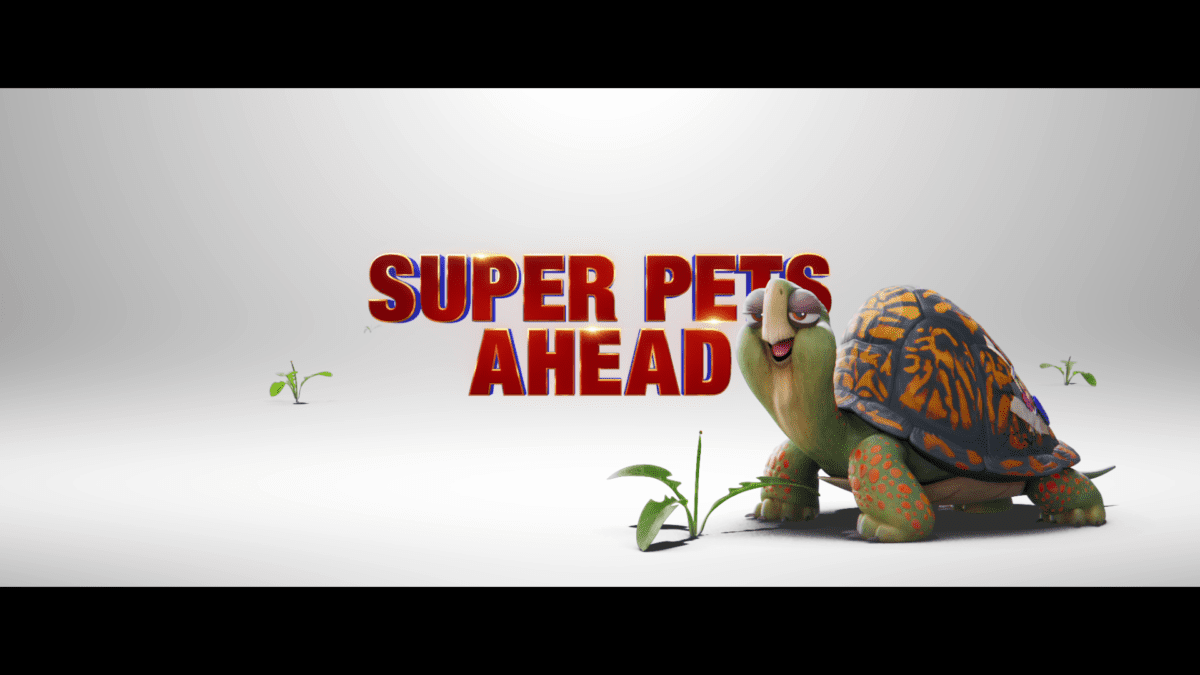 Thumbnail Placeholder