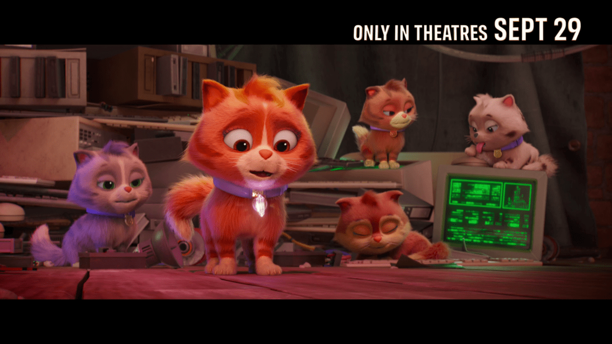 Thumbnail Placeholder