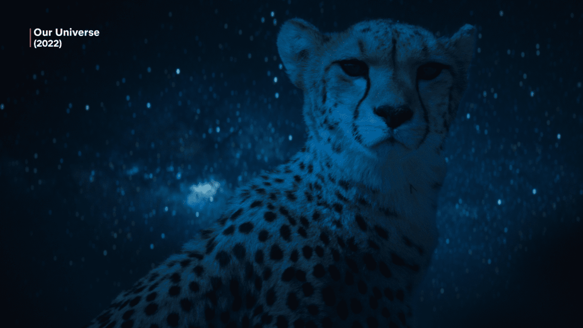 Thumbnail Placeholder