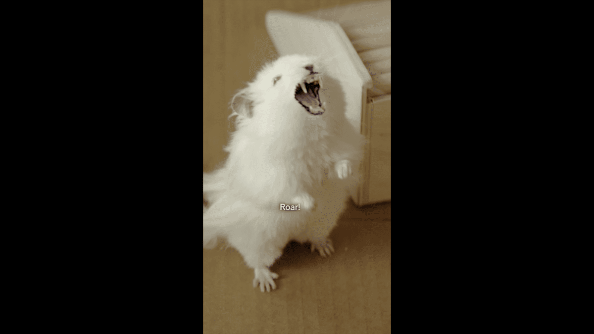 Thumbnail Placeholder