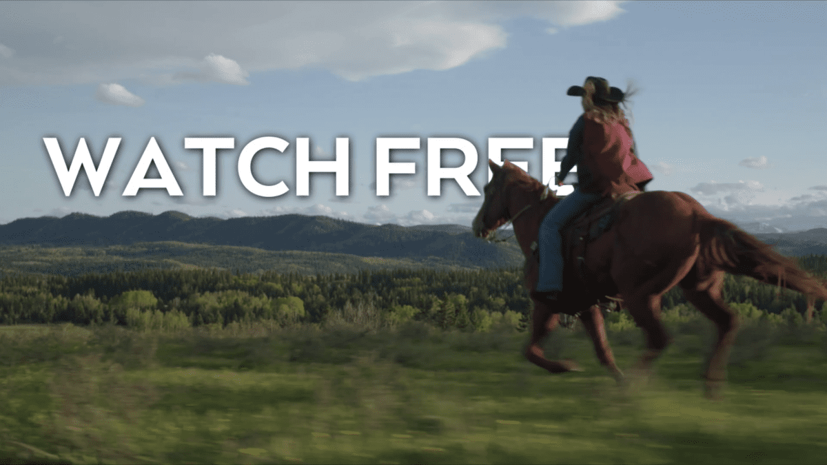 Thumbnail Placeholder